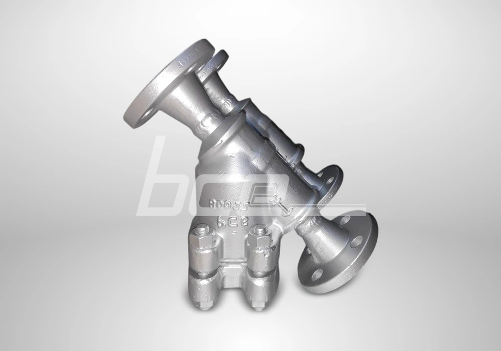 Y Type Strainer